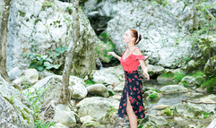 Olivia Trunk - Anilos 1